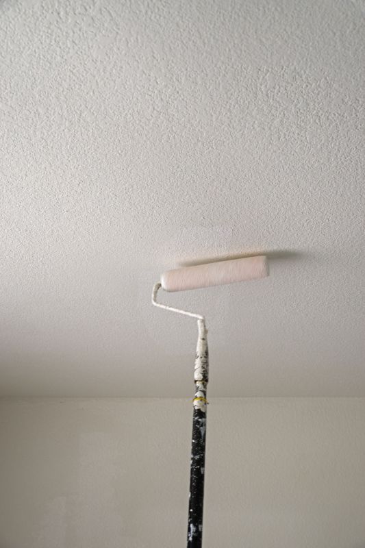 Popcorn Ceiling Painting in Waco, TX
